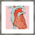 Heart Diagram Framed Print
