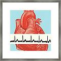 Heartbeat Framed Print