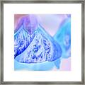 Heavenly Pastels 03 Framed Print