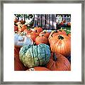 Heirloom Pumpkins Framed Print