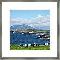 Herd Of Cows Grazing The Coast Framed Print