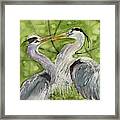 Heron Love Framed Print