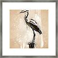 Heron On Post Framed Print