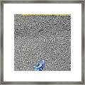 Hey, #budlitter, Can You Point Me To A Yellow Line? Framed Print