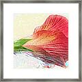 Hibiscus Spilled Paint Framed Print