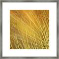 Hidden In The Grass Framed Print