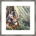 Hidden Deer Framed Print