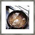 High Angle View Of Fish Frying In Pan Framed Print