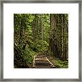 Hiking In Mt. Rainier, Washington Framed Print