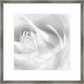 Hint Of A Rose Framed Print