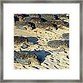 Ho Okipa Beach Park Residents Framed Print