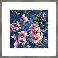 Hollyhocks And Hummingbirds Framed Print