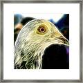 Homer Pigeon Up Close Fibers Framed Print