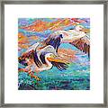Homeward Bound Pelicans Framed Print