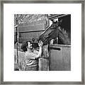 Horse In Stable Framed Print