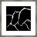 Horses B&w Framed Print