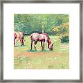 Horses In The Fields Framed Print