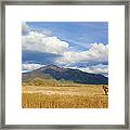 Horses Standing In Remote Field Framed Print