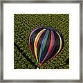 Hot Air Balloon Framed Print