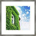 House Covered With Green Ivy Foliage Framed Print