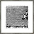 How To Train A Young Falcon, 14th Framed Print