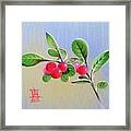 Huckleberry Branch With Red Berries Framed Print