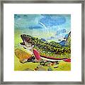 Hungry Trout Framed Print