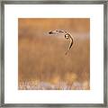 Hunting Mode Framed Print