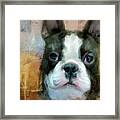 I Adore You Boston Terrier Art Framed Print