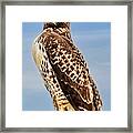 I Am Watching You Framed Print