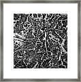 Ice Abstraction Ii Bw Framed Print