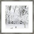 Ice And Snow2 Framed Print