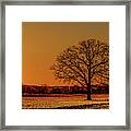 Ice-glazed Twin Oak Sunset - Near Oregon Wi Framed Print