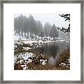 Idyllic Winter Forest Landscape  At Troodos Mountains, Cyprus Framed Print