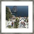 Il Canille Framed Print