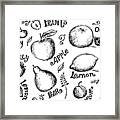 Illustrations Of Various Fruits And Framed Print