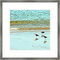 In Search Of Breakfast Framed Print