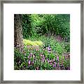 In The Land Of Pink Flowers Framed Print