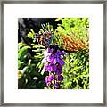 In The Moment Framed Print