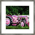 In The Pink Framed Print