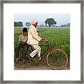 Indian Father Cycling Son To School Framed Print