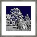 Infrared World_04 Framed Print