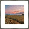 Into The Fields - 17 Framed Print