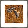 It Is A Fight Framed Print
