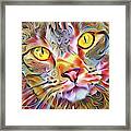 Jack The Tabby Cat Framed Print