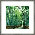 Japan, Kyoto Prefecture, Ukyo Ward Framed Print