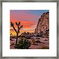 Joshua Tree Sunset Framed Print