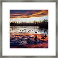 Geese On Fire Framed Print