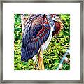 Juvenile Tricolored Heron Art Framed Print