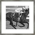 Kelso, Horse Of The Year Framed Print